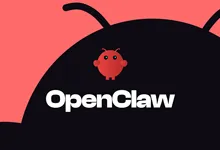 给Debian服务器上的OpenClaw安装浏览器-堆上小栈