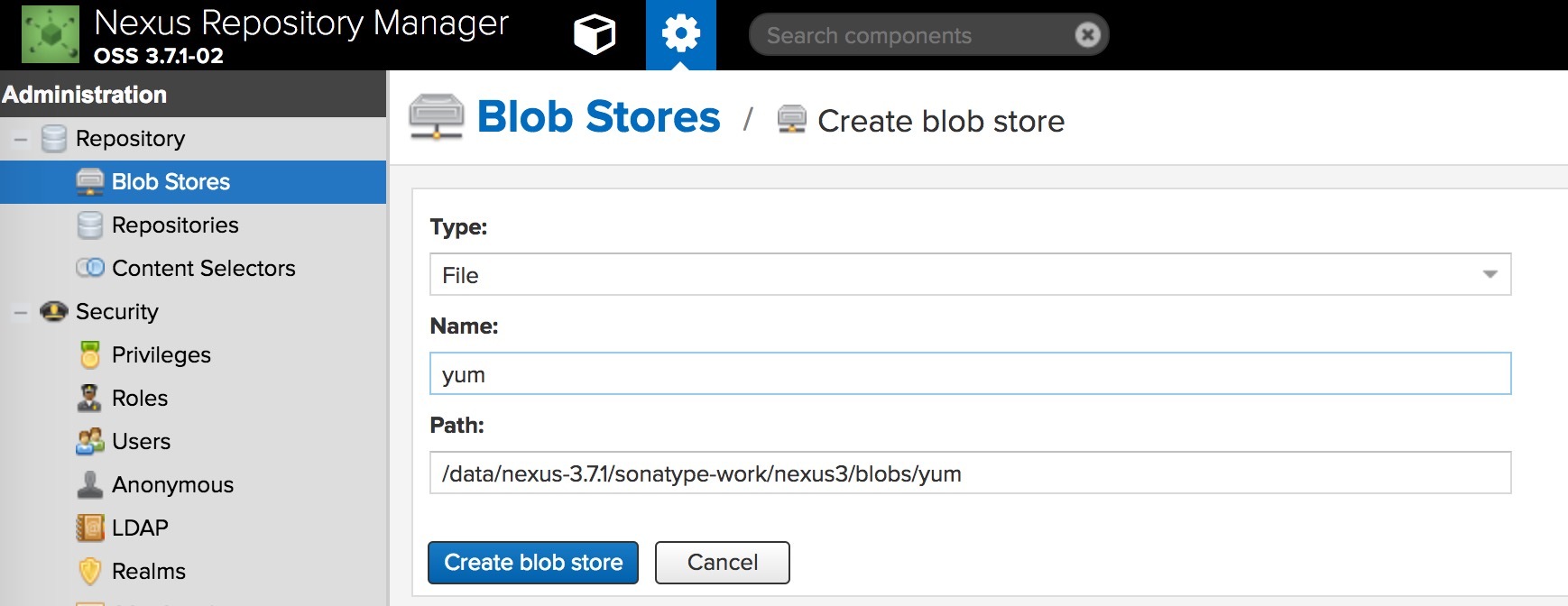 Create blob store